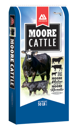 Thomas Moore Cattle Sweet Grower