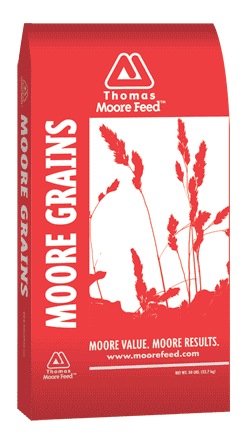 Thomas Moore Corn Chops