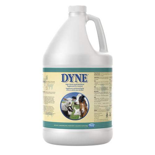 PetAg Dyne® High Calorie Liquid Nutritional Supplement for Livestock