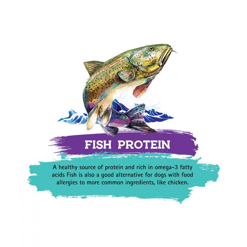 Inception Fish Recipe Dry Cat Food