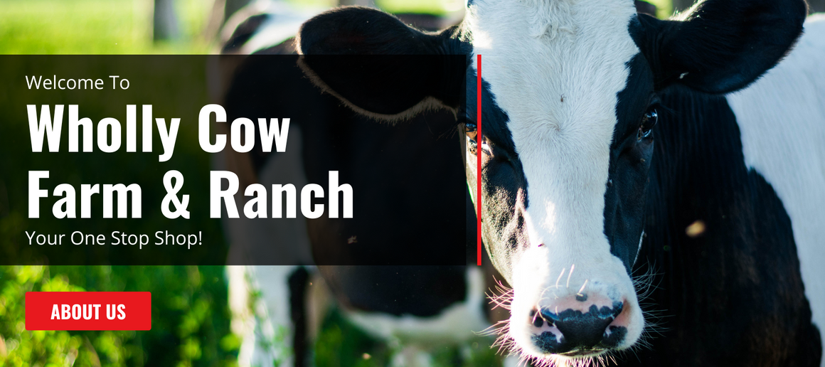 Wholly Cow Farm and Ranch