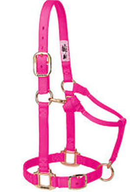 Valhoma Horse Value Halter - Q