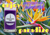 Fredericksburg Farms Bird of Paradise Candle (16 Oz)