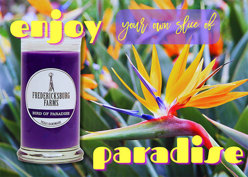 Fredericksburg Farms Bird of Paradise Candle (16 Oz)