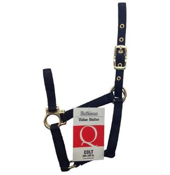 Valhoma Horse Value Halter - Q