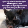 Mazuri® Mini Pig Youth Feed