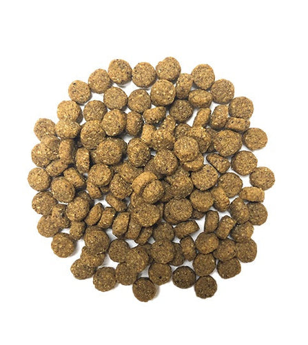 Muenster Perfect Balance Pork Meal Recipe with Ancient Grains Dog Food