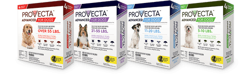 Provecta ADVANCED Flea & Tick Treatment for Dogs