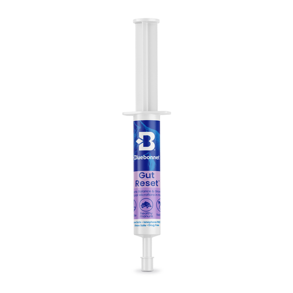 Bluebonnet Gut Reset™ Paste (ADR Paste)