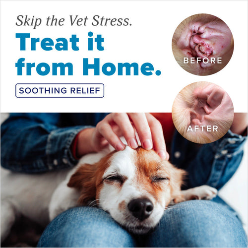 TropiClean HomeVet Medicated Dog Ear Drops