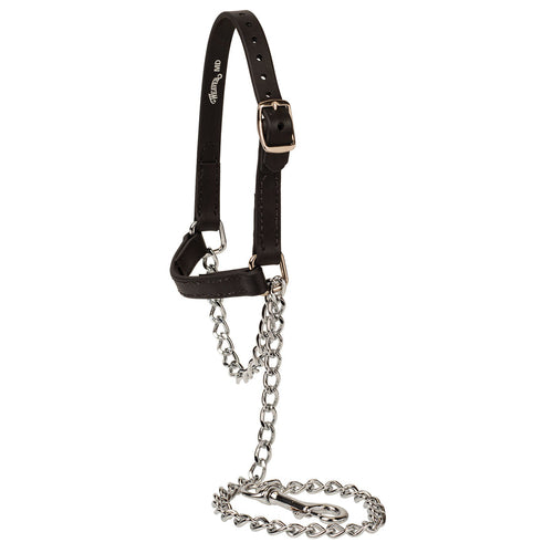 Weaver Sheep and Goat Brahma Webb® Halters