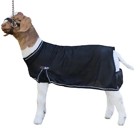 Sullivan Supply Cool Tech Goat Blanket