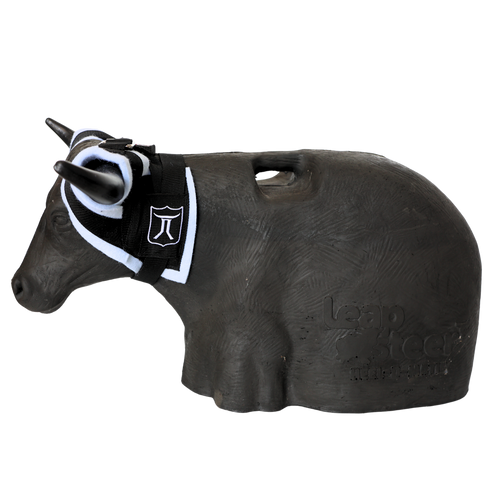 Smarty Rodeo Leapsteer