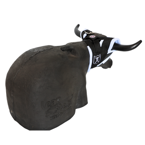 Smarty Rodeo Leapsteer