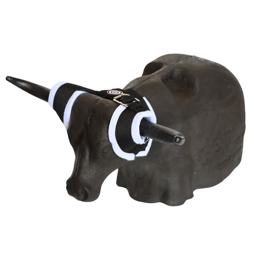 Smarty Rodeo Leapsteer