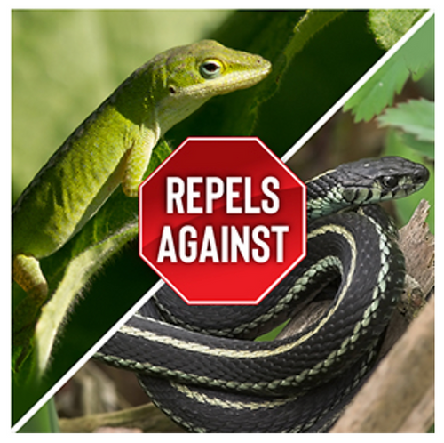 Messinas® Reptile Stopper Granular Natural Snake & Lizard Repellent