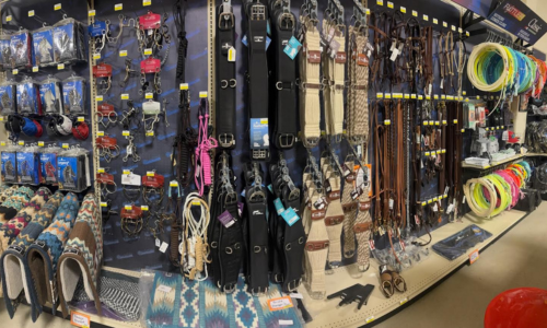 Western tack and roping gear display in a store, featuring an assortment of cinches, bridles, bits, reins, and colorful roping ropes. The shelves are stocked with essential equestrian and rodeo equipment, neatly organized for easy browsing.